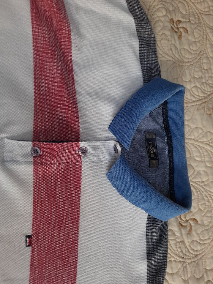 ZINZOLIN Kısa Kollu Erkek Polo Tişört (XXL) - Görsel 2