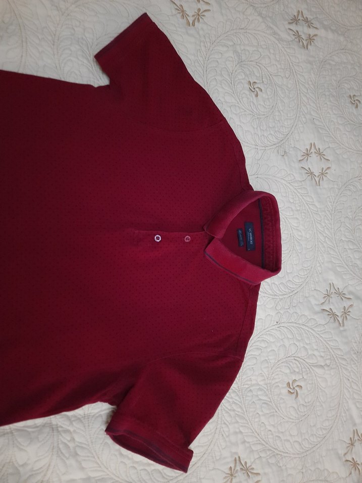 Lcw Erkek Polo Tişört (L beden)/iyi durumda - Görsel 4