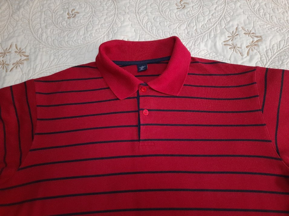 CUBE Kırmızı Çizgili Erkek Polo Tişört (XL) - Görsel 2
