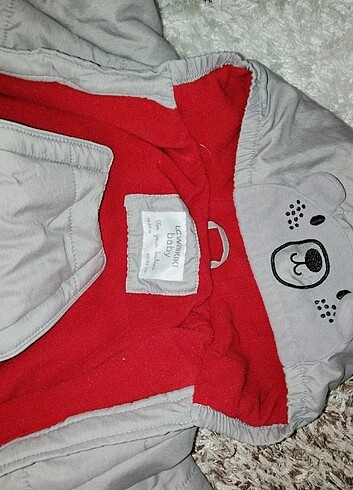 Astronot mont