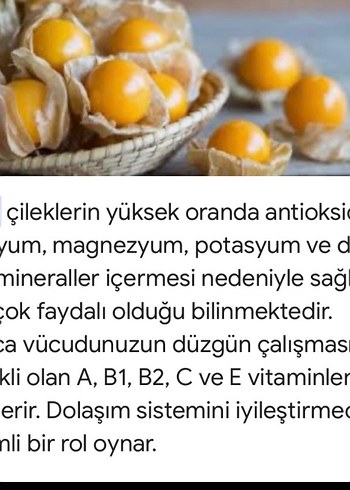 Diğer Altın çilek