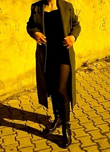 Diğer Gri kaban