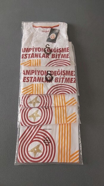Erkek tişörtleri