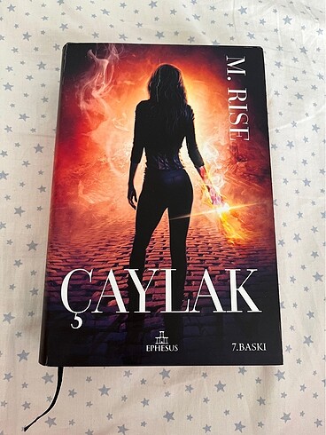 m.rise çaylak