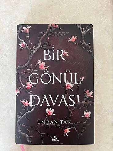 Bir gönül davası