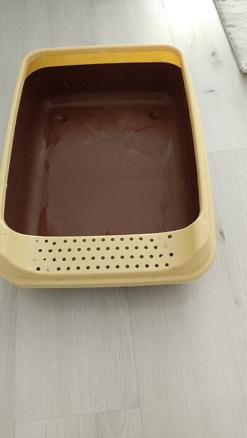 Kedi kum yeri