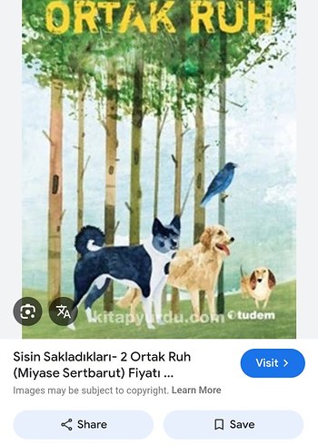  özel ilan