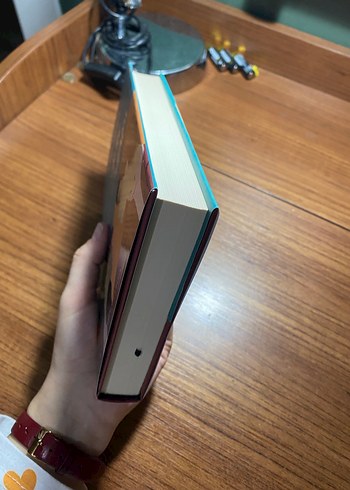 Frankin İkili Yaşamı - David Yoon - Görsel 3