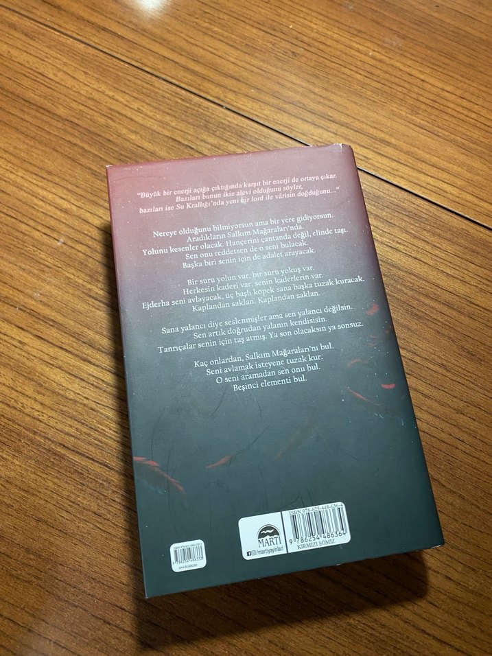 Iordlar ve Varisler - N.G. Kabal - Görsel 5