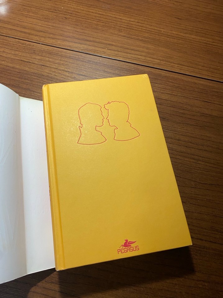 Asla Vazgeçme - Rainbow Rowell - Görsel 2