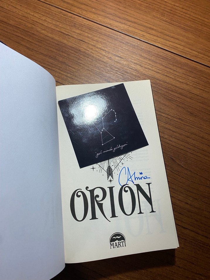 Orion - Almina Taner - Görsel 2
