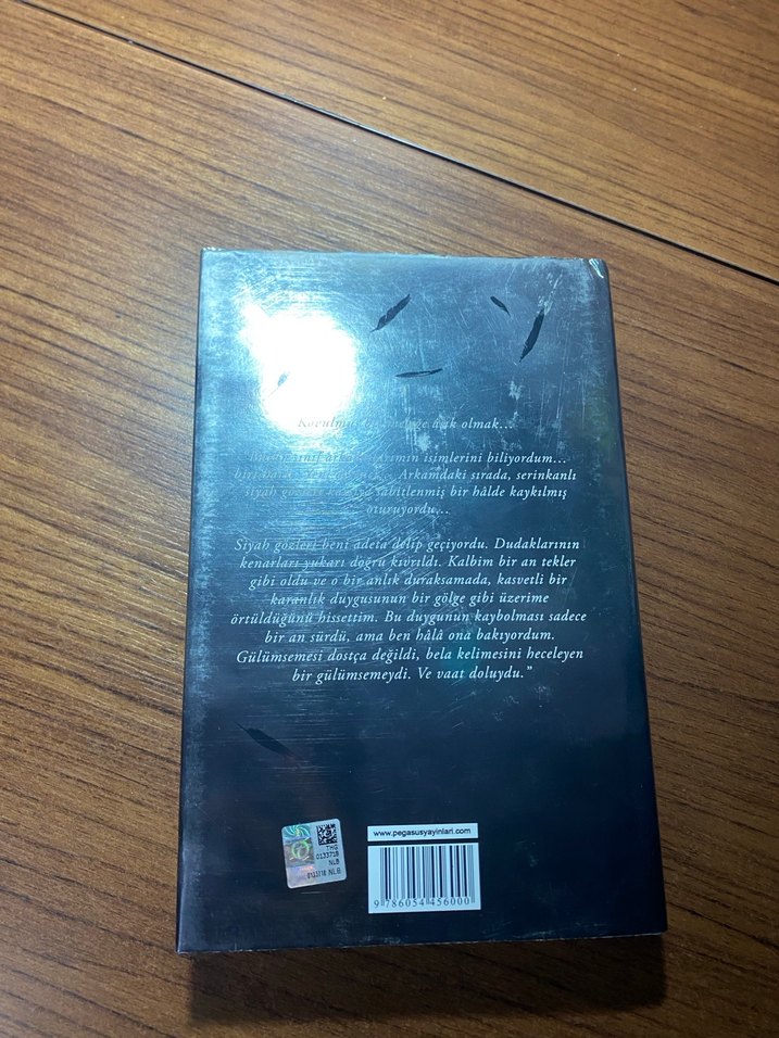 Fısıltı - Becca Fitzpatrick - Görsel 3