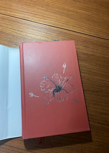 İpi Kopuk Kuklalar - Almila Taner - Görsel 4