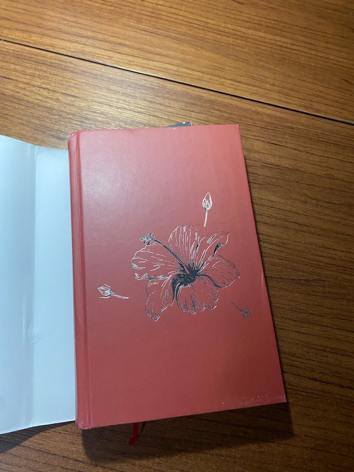 İpi Kopuk Kuklalar - Almila Taner - Görsel 4