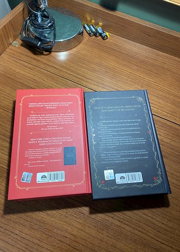 Hırsızların Yemini & Dansı - Mary E. Pearson - Görsel 3