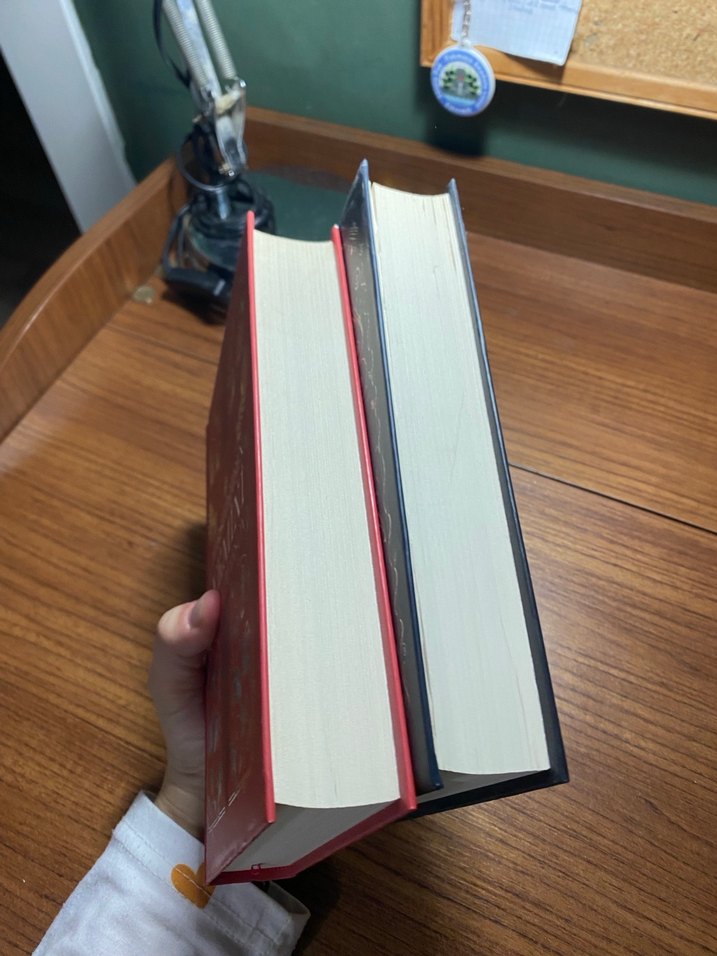 Hırsızların Yemini & Dansı - Mary E. Pearson - Görsel 2