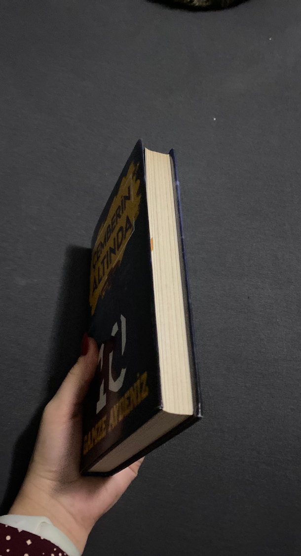 Çemberin Altında - Gamze Aydeniz - Görsel 4