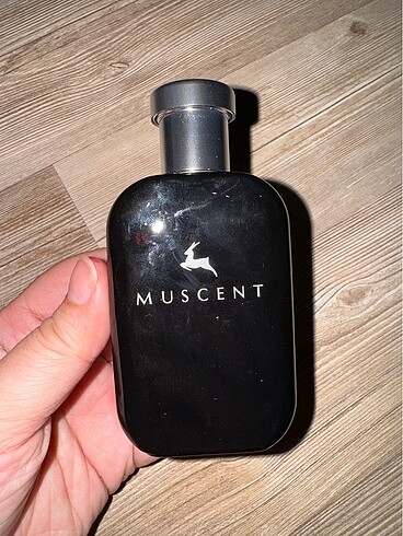 Muscent F155