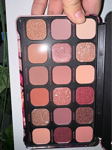 Revolution Revolution Forever Flawless Allure Palet
