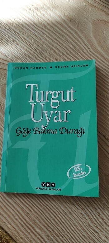 GÖĞE BAKMA DURAĞI (ŞİİR) 