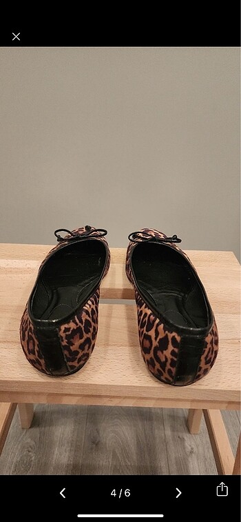 38 Beden Leopar babet