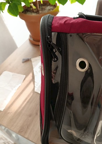 Bordo Şeffaf Taşınabilir Evcil Hayvan Taşıyıcı - Görsel 2