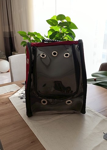 Bordo Şeffaf Taşınabilir Evcil Hayvan Taşıyıcı - Görsel 5