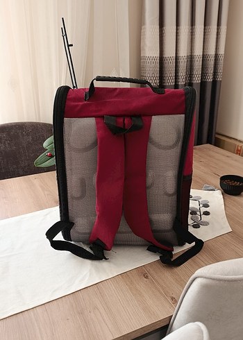 Bordo Şeffaf Taşınabilir Evcil Hayvan Taşıyıcı - Görsel 3