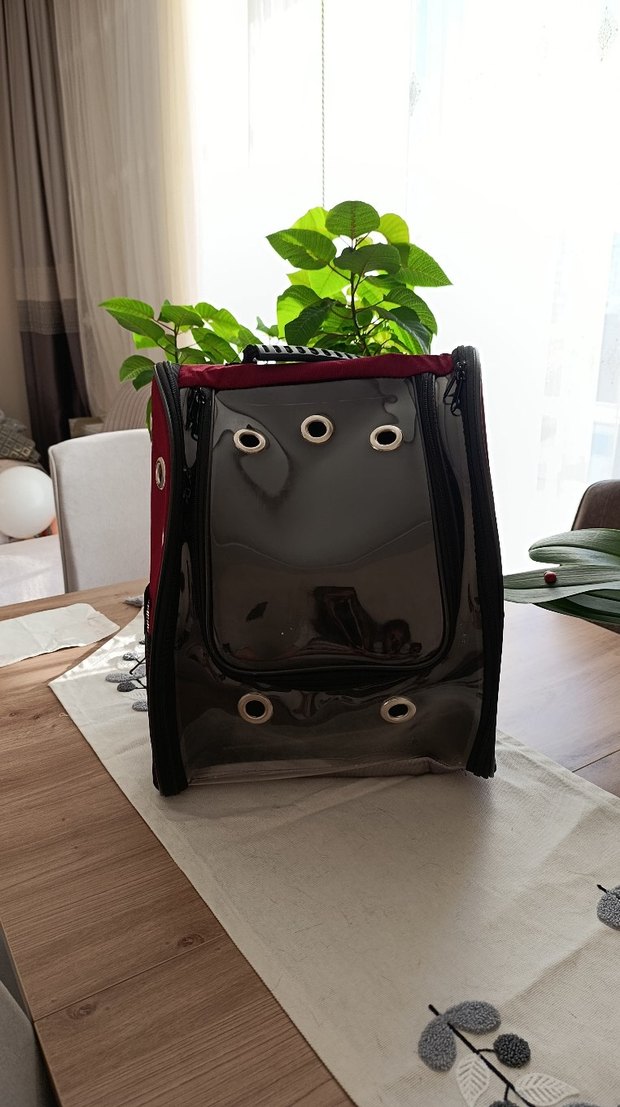 Bordo Şeffaf Taşınabilir Evcil Hayvan Taşıyıcı - Görsel 5