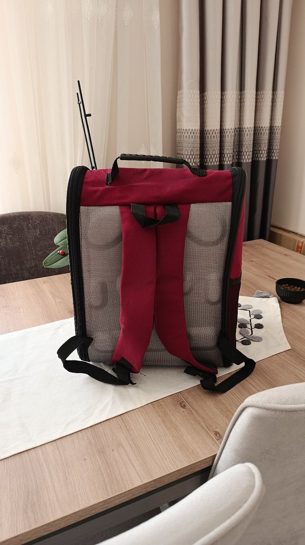 Bordo Şeffaf Taşınabilir Evcil Hayvan Taşıyıcı - Görsel 3