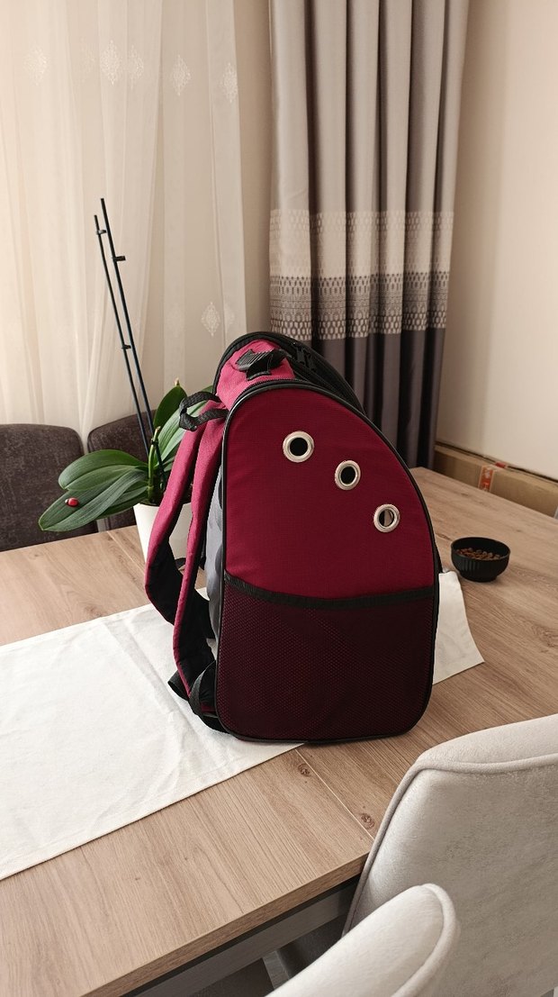 Bordo Şeffaf Taşınabilir Evcil Hayvan Taşıyıcı - Görsel 4
