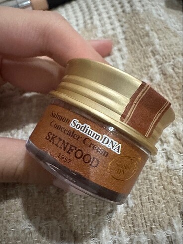 Skinfood Concealer