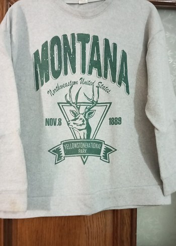Gri Baskılı Kadın Sweatshirt