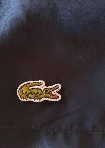 xl Beden mavi Renk Lacoste Erkek Lacivert Şort