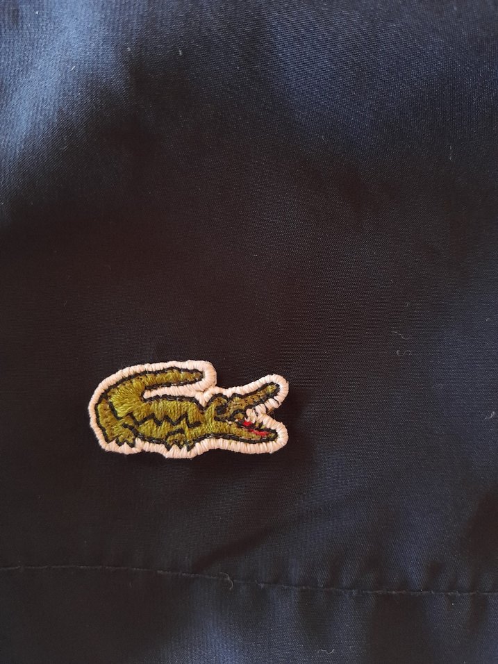 Lacoste Erkek Lacivert Şort - Görsel 5