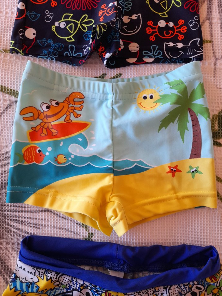 Renkli Erkek Çocuk Mayo ve Şort Seti - Görsel 3