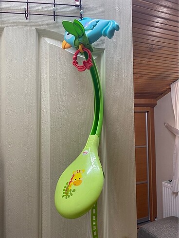 Beden Fisher Price Yağmur Ormanları Dönence