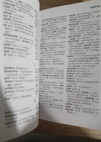 Langenscheidt Almanca-Türkçe Sözlük - Görsel 6