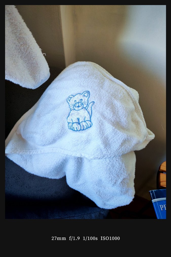 Nakışlı Beyaz Erkek Çocuk Bornozu - Görsel 4