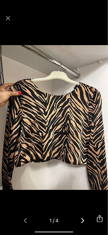 Zara saten crop