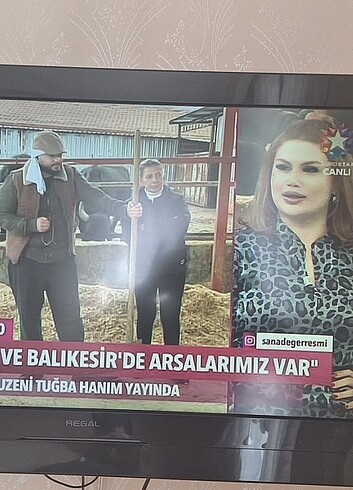 Regal Tertemiz ciziksiz kırıksız televizyon