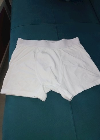 Beyaz Erkek Boxer