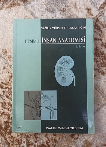 Anatomi kitap 