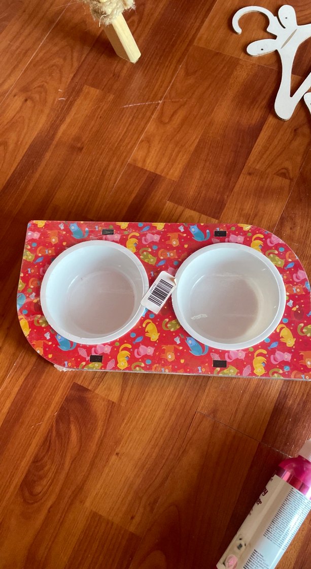 Renkli Kedi Mama ve Su Kabı - Görsel 3