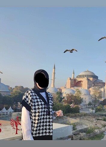 Kadın süveter
