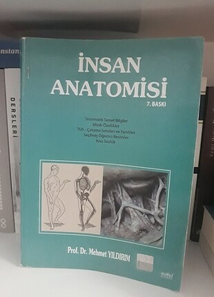 İnsan Anatomisi 