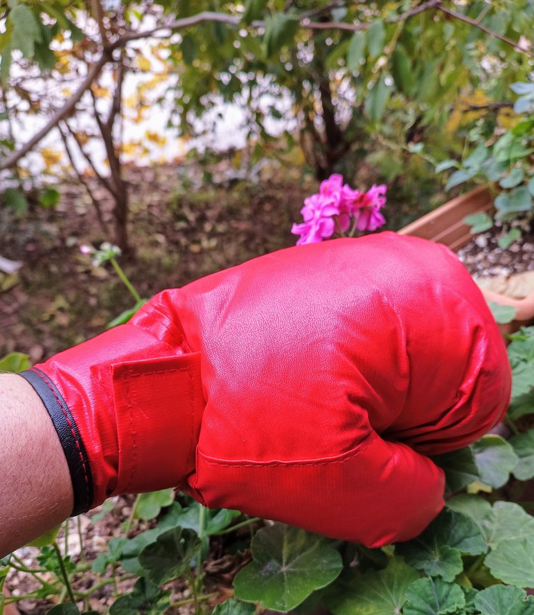 ÇOCUK BOKS ELDİVENİ - Görsel 5