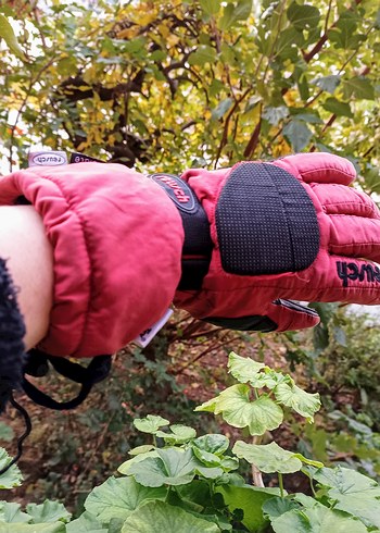 REUSCH UNİSEX MOTOR ELDİVEN - Görsel 3