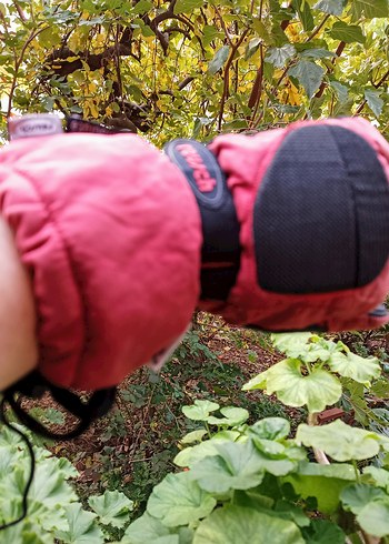 REUSCH UNİSEX MOTOR ELDİVEN - Görsel 5