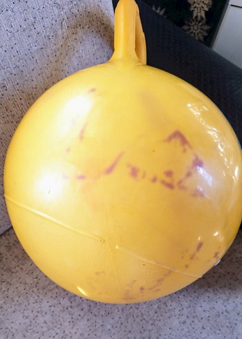 SÜNGER BOB ZIP ZIP TOP - Görsel 5